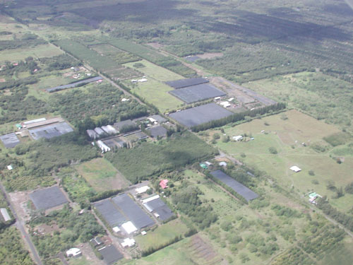 Hawaii Oct 7 059