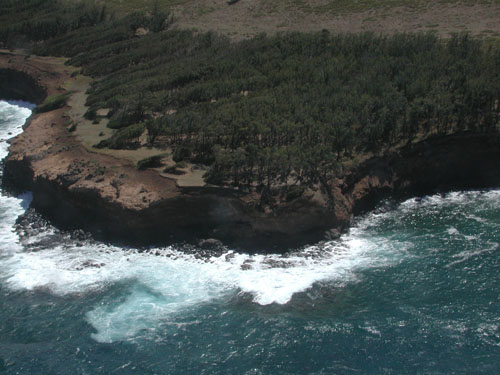 Hawaii Oct 7 093