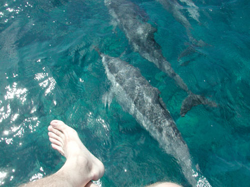 Hawaii Oct 8 004