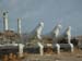 Sept 14 - Delos 015