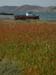Sept 14 - Delos 102