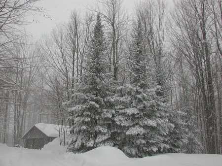 March 2004 070